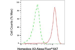 Flow cytometric analysis of Homeobox A3 expression in 293T cells using Homeobox A3 antibody (ABIN7798989), 1:2,000).