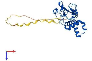AlphaFold protein structure predicition of Human Recombinant SOCS1 Protein, UniprotID O15524