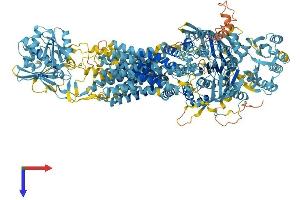 AlphaFold protein structure predicition of Human Recombinant ABCA6 Protein, UniprotID Q8N139