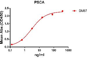 ELISA plate pre-coated by 2 μg/mL (100 μL/well) Human PSCA protein, hFc tagged protein ((ABIN6961137, ABIN7042303 and ABIN7042304)) can bind Rabbit anti-PSCA monoclonal antibody(clone: DM87) in a linear range of 1-100 ng/mL. (PSCA anticorps  (AA 12-86))