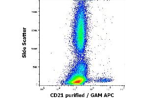 Flow cytometry surface staining pattern of human peripheral whole blood stained using anti-human CD21 (LT21) purified antibody (concentration in sample 1 μg/mL) GAM APC. (CD21 anticorps)