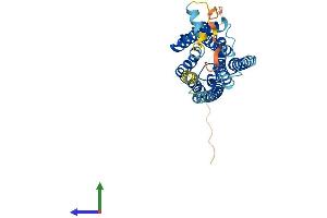 AlphaFold protein structure predicition of Mouse Recombinant Gpr3 Protein, UniprotID P35413