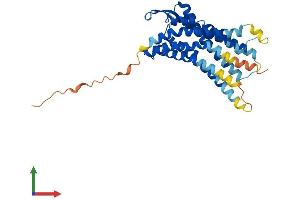 AlphaFold protein structure predicition of Mouse Recombinant Bdkrb1 Protein, UniprotID Q61125