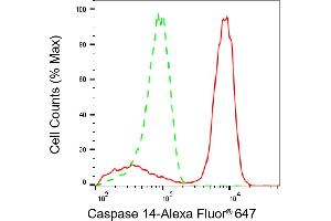 Flow cytometric analysis of Caspase 14 expression in HaCaT cells using Caspase 14 antibody (ABIN7797888), 1:2,000).