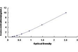 Typical standard curve (beta 2 Adrenergic Receptor Kit ELISA)