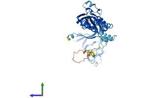 AlphaFold protein structure predicition of Mouse Recombinant P2rx3 Protein, UniprotID Q3UR32