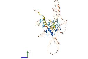 AlphaFold protein structure predicition of Human Recombinant IKZF5 Protein, UniprotID Q9H5V7