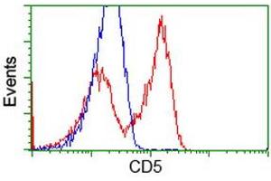 HEK293T cells transfected with either RC206494 overexpress plasmid (Red) or empty vector control plasmid (Blue) were immunostained by anti-CD5 antibody (ABIN2452890), and then analyzed by flow cytometry. (CD5 anticorps)
