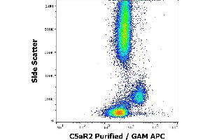 Flow cytometry surface staining pattern of human peripheral whole blood stained using anti-human C5aR2 (1D9-M12) Purified antibody (concentration in sample 5,0 μg/mL, GAM APC).
