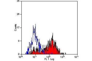 Flow Cytometry (FACS) image for anti-Tumor Necrosis Factor Receptor Superfamily, Member 4 (TNFRSF4) antibody (ABIN2478398)
