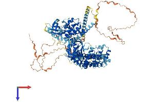 AlphaFold protein structure predicition of Mouse Recombinant Ptk2b Protein, UniprotID Q9QVP9