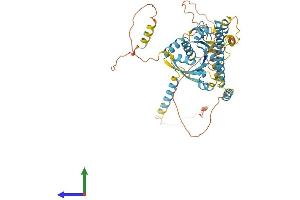 AlphaFold protein structure predicition of Human Recombinant DYNC1LI2 Protein, UniprotID O43237