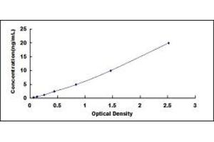 Typical standard curve (FMR1 Kit ELISA)