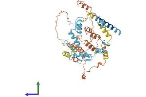 AlphaFold protein structure predicition of Human Recombinant ZBTB14 Protein, UniprotID O43829