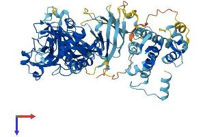AlphaFold protein structure predicition of Mouse Recombinant Capn13 Protein, UniprotID Q3UW68