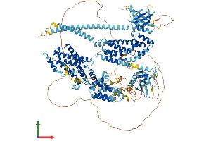 AlphaFold protein structure predicition of Human Recombinant RASGRF2 Protein, UniprotID O14827