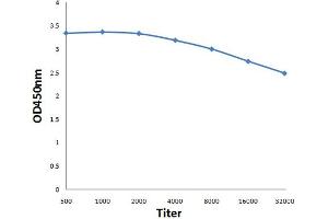 Antigen: 0. (AMPK gamma 1/2/3 (AA 280-330) anticorps)