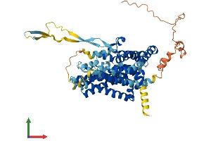 AlphaFold protein structure predicition of Human Recombinant SLC1A7 Protein, UniprotID O00341
