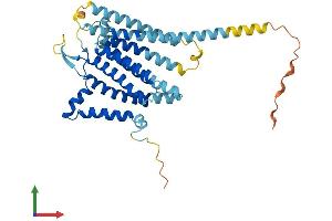 AlphaFold protein structure predicition of Mouse Recombinant Tram1l1 Protein, UniprotID Q8QZR0