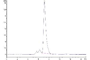 The purity of Mouse CXCL16 is greater than 95 % as determined by SEC-HPLC.