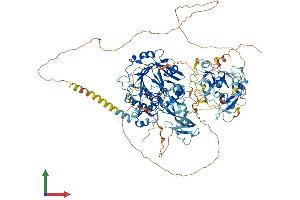 AlphaFold protein structure predicition of Mouse Recombinant Kdm4b Protein, UniprotID Q91VY5