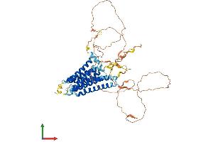 AlphaFold protein structure predicition of Human Recombinant ADGRA1 Protein, UniprotID Q86SQ6