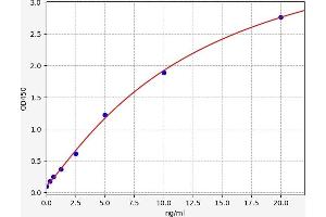 Typical standard curve (MFAP4 Kit ELISA)
