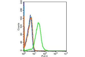 Mouse kidney cells probed with 	GPR110 Polyclonal Antibody, Unconjugated  at 1:100 for 30 minutes followed by incubation with a conjugated secondary -PE) (green) for 30 minutes compared to control cells (blue), secondary only (light blue) and isotype control (orange).