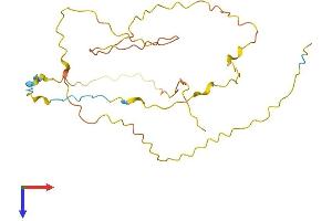 AlphaFold protein structure predicition of Human Recombinant DRICH1 Protein, UniprotID Q6PGQ1