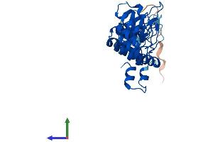 AlphaFold protein structure predicition of Mouse Recombinant Asb13 Protein, UniprotID Q8VBX0