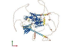 AlphaFold protein structure predicition of Human Recombinant USP37 Protein, UniprotID Q86T82