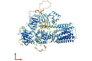 AlphaFold protein structure predicition of Human Recombinant ATP13A2 Protein, UniprotID Q9NQ11