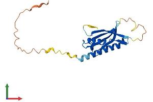 AlphaFold protein structure predicition of Mouse Recombinant Ddit4l Protein, UniprotID Q8VHZ5