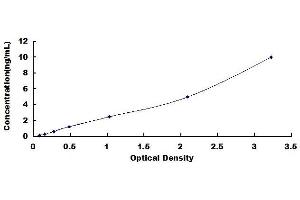 Typical standard curve (Corneodesmosin Kit ELISA)