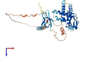 AlphaFold protein structure predicition of Mouse Recombinant Morf4l1 Protein, UniprotID P60762