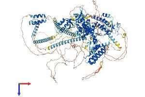 AlphaFold protein structure predicition of Mouse Recombinant Baz1b Protein, UniprotID Q9Z277