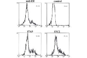 Flow cytometry data of overexpressed EE-tagged Bmf in 293T cells, fixed with 1% PFA, permeabilized with saponin and stained intracellularly with anti-Bmf (mouse/rat), mAb (17A9) , control or positive control anti-EE. (BMF anticorps  (AA 13-27, AA 112-126))