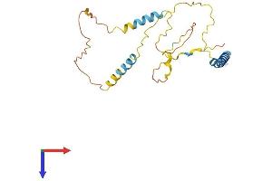 AlphaFold protein structure predicition of Human Recombinant BNIP3L Protein, UniprotID O60238