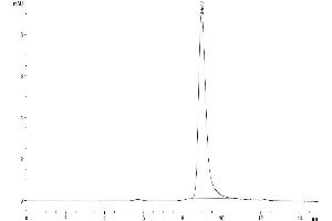 The purity of Human RGM-C is greater than 95 % as determined by SEC-HPLC.