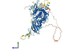 AlphaFold protein structure predicition of Human Recombinant LIMK1 Protein, UniprotID P53667