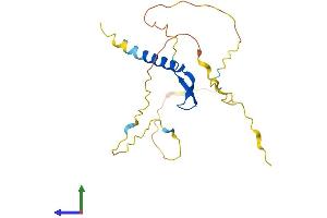 AlphaFold protein structure predicition of Mouse Recombinant Bcl7b Protein, UniprotID Q921K9
