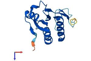 AlphaFold protein structure predicition of Human Recombinant TXNL4A Protein, UniprotID P83876