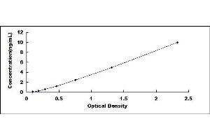 Typical standard curve (C1ql1 Kit ELISA)
