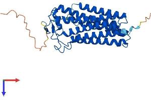 AlphaFold protein structure predicition of Mouse Recombinant Paqr3 Protein, UniprotID Q6TCG8