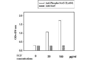 A431 cells were stimulated by different concentrations of EGF for 10 minutes at 37 °C