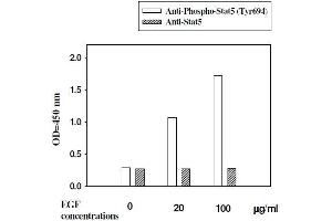 A431 cells were stimulated by different concentrations of EGF for 10 minutes at 37 °C (STAT5A Kit ELISA)