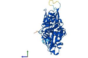 AlphaFold protein structure predicition of Mouse Recombinant Actg1 Protein, UniprotID P63260