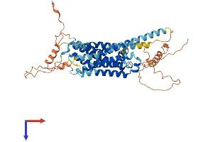 AlphaFold protein structure predicition of Human Recombinant DRD5 Protein, UniprotID P21918