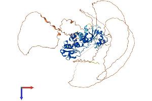 AlphaFold protein structure predicition of Human Recombinant DUSP16 Protein, UniprotID Q9BY84