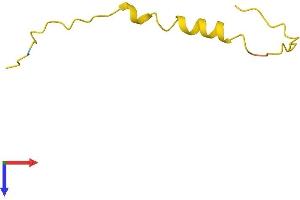 AlphaFold protein structure predicition of Human Recombinant PRAC1 Protein, UniprotID Q96KF2